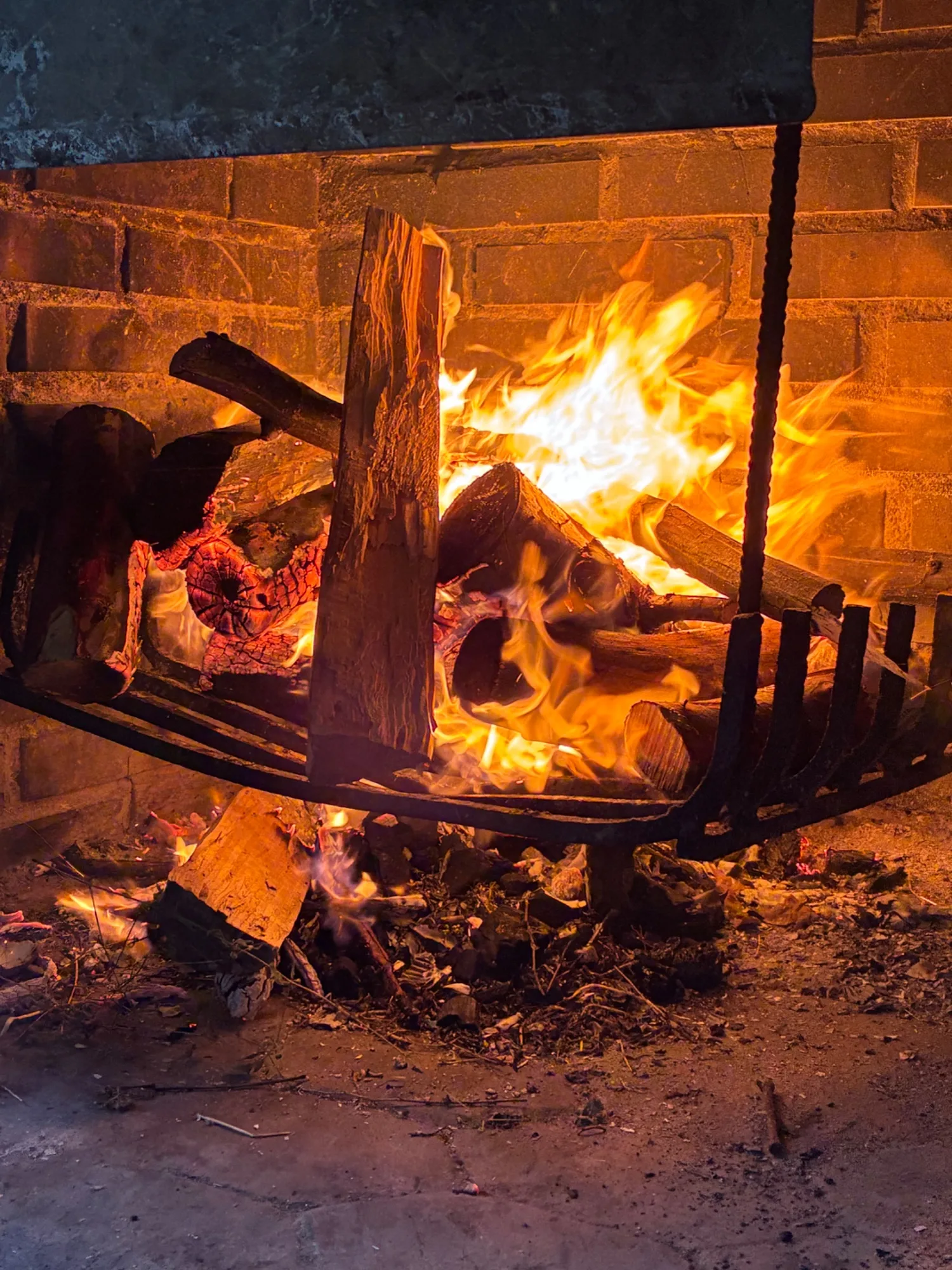 Foto 4 de Asado a las afueras de Madrid
